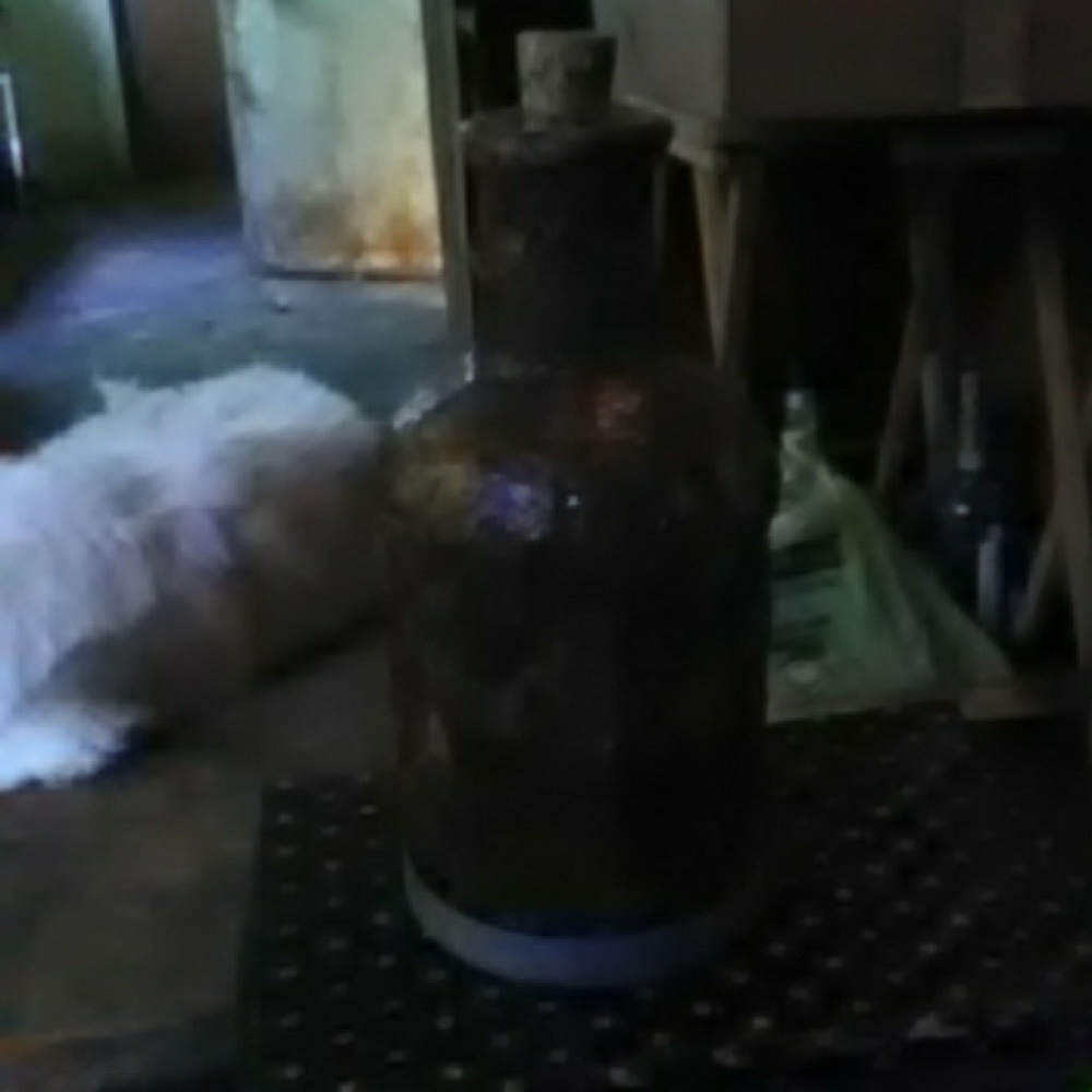 Tea bag bottle